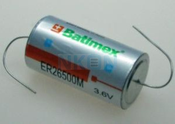 ER26500M / C soldeerdraden (CNA) - 3.6V